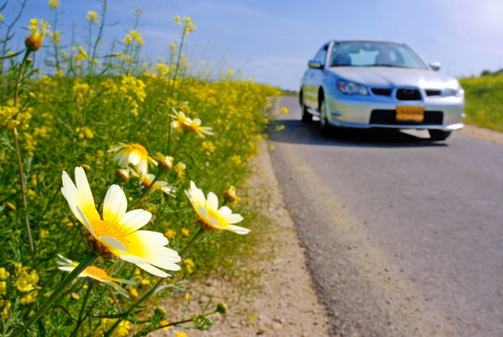 Spring Check-Ups for Your Vehicle | ASI Collision Inc.