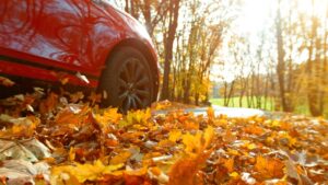 low photo of red car driving with leaves on the ground