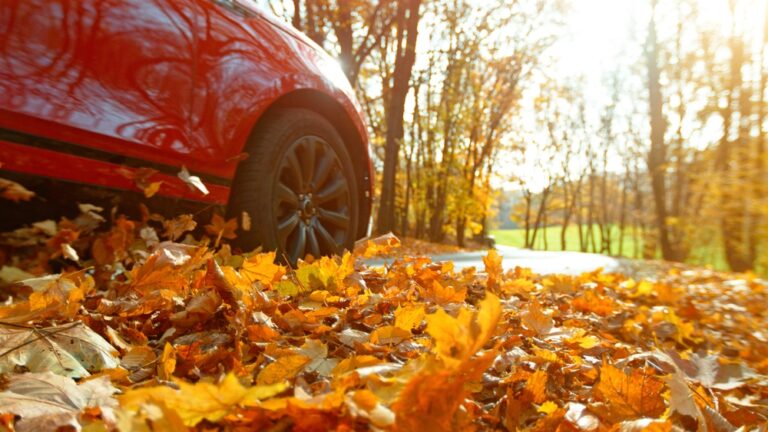 low photo of red car driving with leaves on the ground