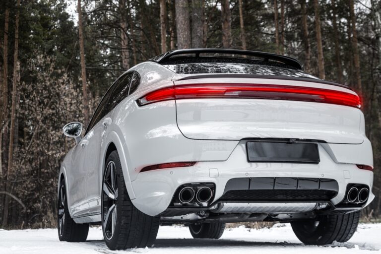 luxury SUV in the winter near trees