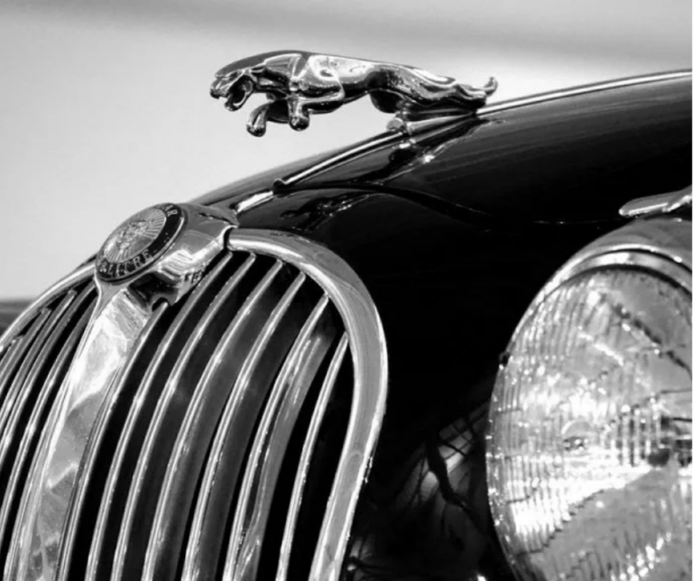 Close up of black jaguar vehicle